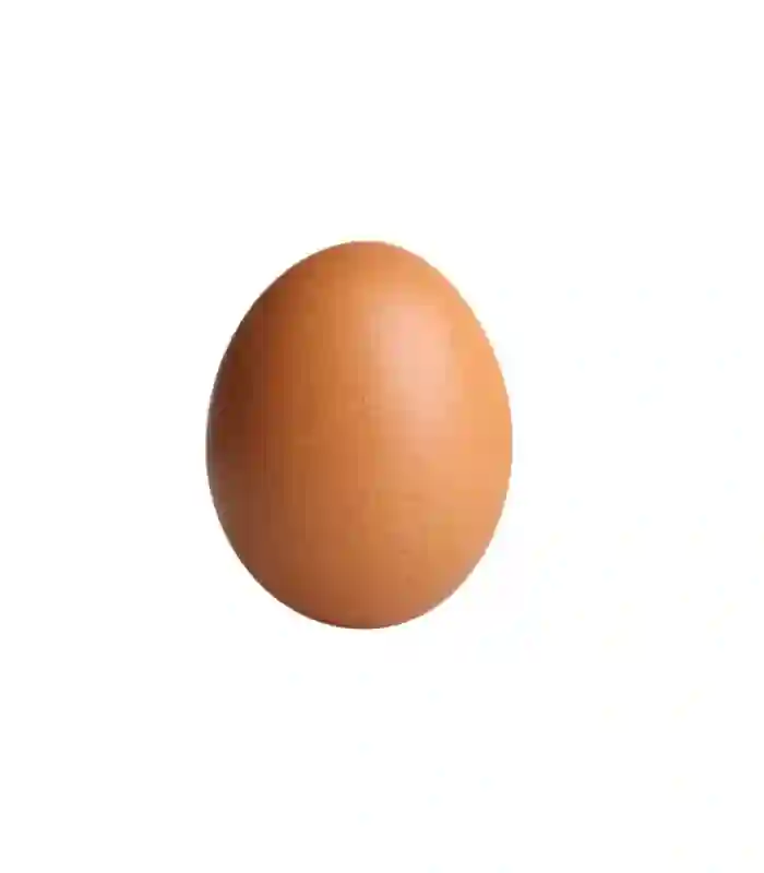 Kokošija Jaja M 1/1