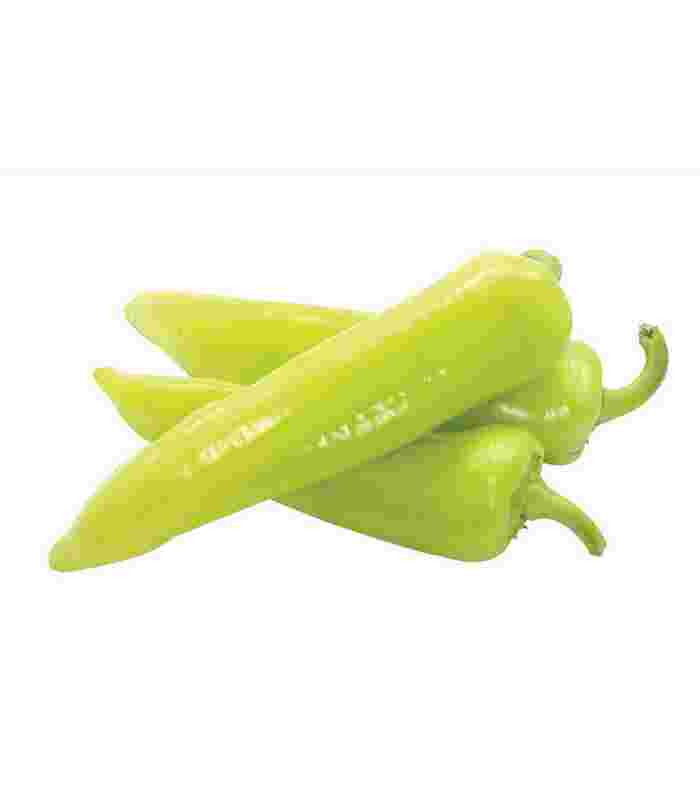 Paprika Šilja Beograd - Premium kvalitet