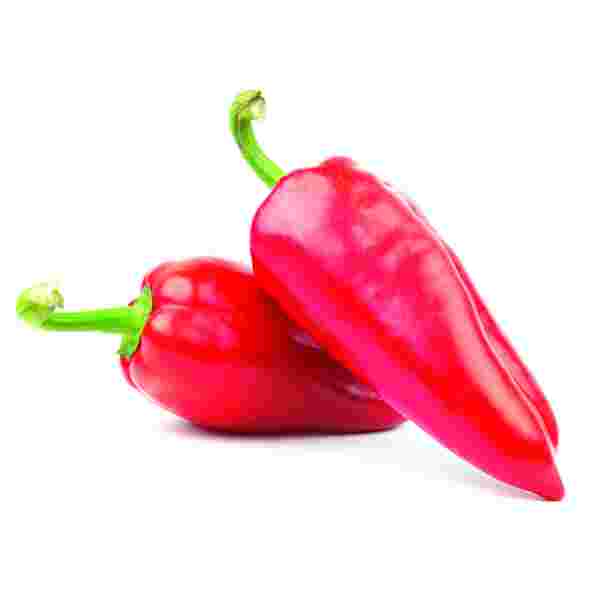 Crvena Paprika Beograd - Premium kvalitet