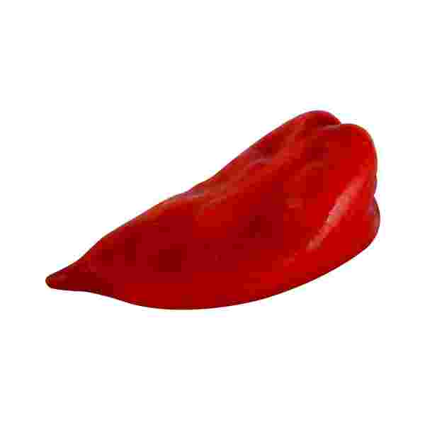 Crvena Paprika Šilja Beograd - Premium kvalitet