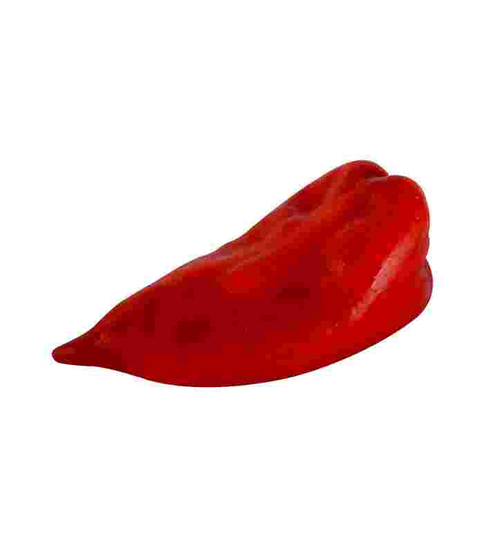 Crvena Paprika Šilja Beograd - Premium kvalitet