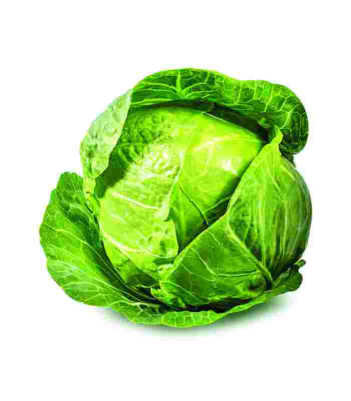 Kupus Beograd - Premium kvalitet