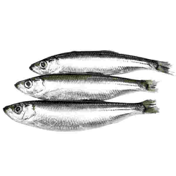 Smrznute Papaline 1Kg Beograd - Premium kvalitet