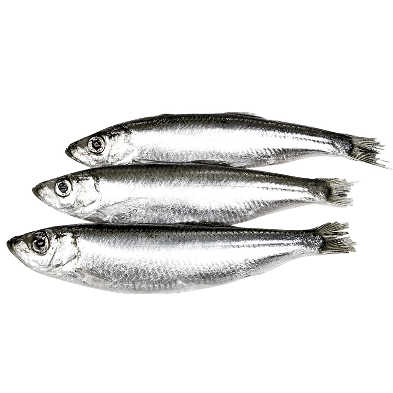 Papalina-800-pix Smrznute Papaline 1Kg Beograd - Premium kvalitet