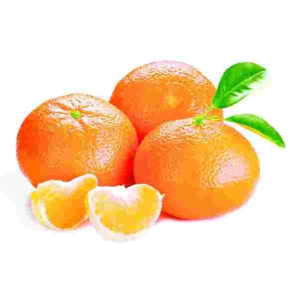 Mandarine 1Kg Beograd - Premium kvalitet