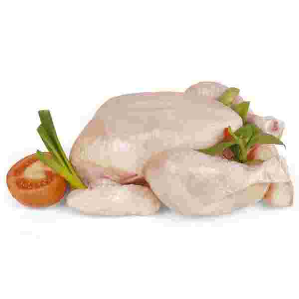 Celo Pile 1Kg Beograd - Premium kvalitet